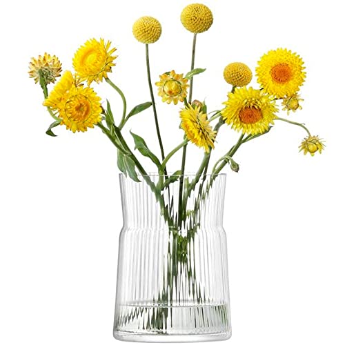 LSA International Laterne/Vase, Glas, farblos, H18.5cm