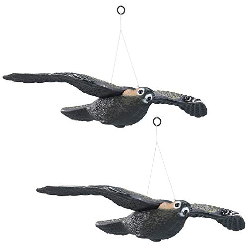 Royal Gardineer Vogelabwehr: 2er-Set Vogelschreck Falke zum Aufhängen, 54 cm Flügel-Spannweite (Taubenabwehr Falke)