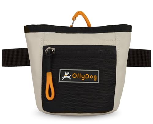 OllyDog Goodie Treat Bag, Leckerlibeutel Hund, Taillengürtelclip für freihändiges Training, Magnetverschluss, Hundetraining und Verhaltenshilfen, Drei Tragevarianten (Bluff)
