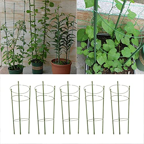 Sxspace 5 Stücke Garten Pflanzenstütze 45cm/60cm Rankhilfe Tomaten, Höhenverstellbare Ringe, Pflanzstäbe, Balkon, Pflanzenhalter (5 STK. 60cm)