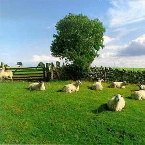 Chill Out by KLF