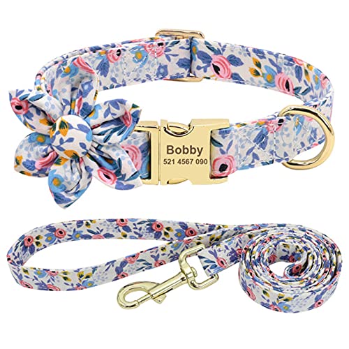 Hundehalsband Leinenhalsband Pet Walking Belt für kleine mittelgroße Hunde-Blue Set, M.