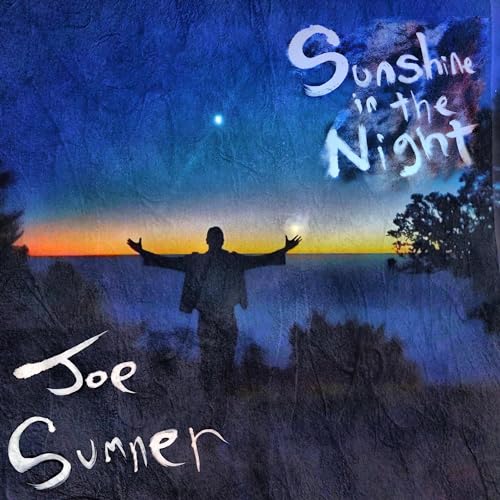 Sunshine in the Night [Vinyl LP]