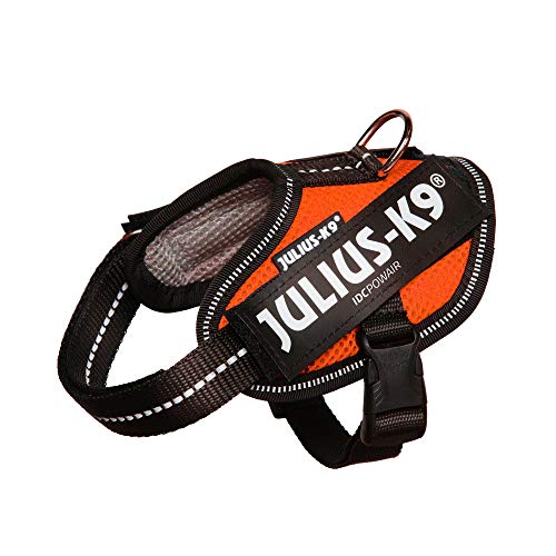 Julius-K9, IDC Powair Hundegeschirr, Größe: 2XS / Baby 2, Orange