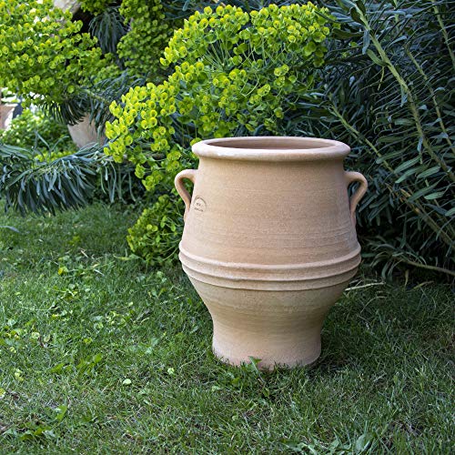 Palatina-Keramik | handgefertigte Amphore aus Terracotta | kleine, winterfeste Amphore aus Kreta/Pflanzgefäß für Garten Balkon Terrasse Thymus 40 cm