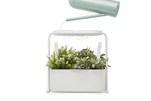Umbra Giardino Pflanzbehälter und Kräutertopf mit integriertem Wasserablauf - Kräutergarten-Set mit herausnehmbarem Einsatz, für Fensterbank und Arbeitsfläche, Metall / Weiß