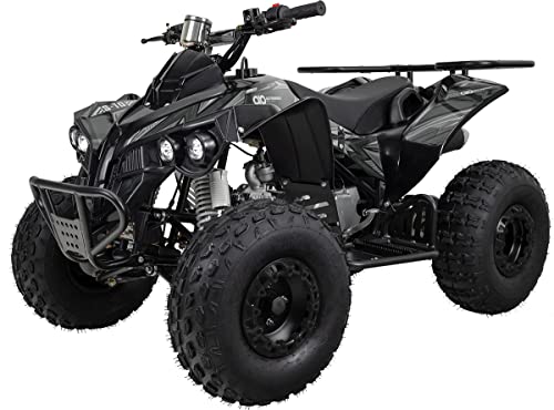 Actionbikes Motors Kinder Midiquad ATV S-10 125 cc - E-Start - Scheibenbremse hinten - Trommelbremsen vorne - Luftreifen (Grau)