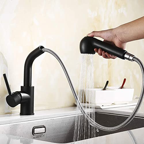 PIWYTRB Wasserhähne, ausziehbare Küchenarmaturen, Mischbatterien, Spülbecken, drehbare Warm- und Kaltwasserhähne, Einhand-Deckmontage/Bürste