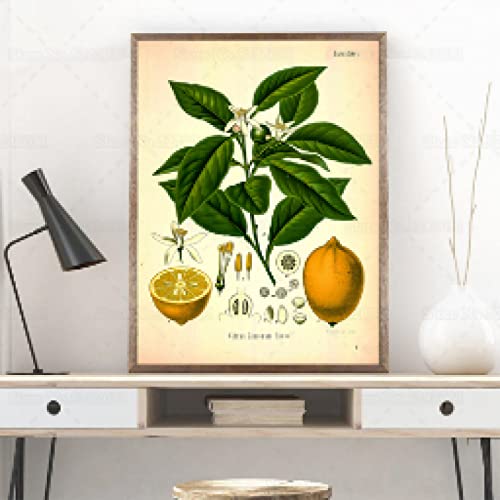 Canvas Artwork Vintage Lemon Poster Citrus Botanical Plant Canvas Painting Lemon Plant Kitchen Illustration Wall Art Decor 60x90cm Frameless