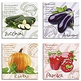ARTLAND Küchenbilder Leinwandbilder Set 4 teilig je 20x20 cm Quadratisch Wandbilder Gemüse Rezepte Zucchini Aubergine Kürbis Paprika S6PG