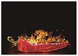 ARTland Spritzschutz Küche aus Alu für Herd Spüle 70x50 cm (BxH) Küchenrückwand mit Motiv Essen Lebensmittel Gewürze Chili Flammen Modern Dunkel Rot S7PR
