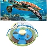 3 in 1 Schildkrötenei-Brutkasten, tragbarer Schildkröten-Ei-Brutkasten, Inkubation, Fütterung und Überwinterung, hält 6 Schildkröten-Reptilien-Eier, 360-Grad-Beobachtung
