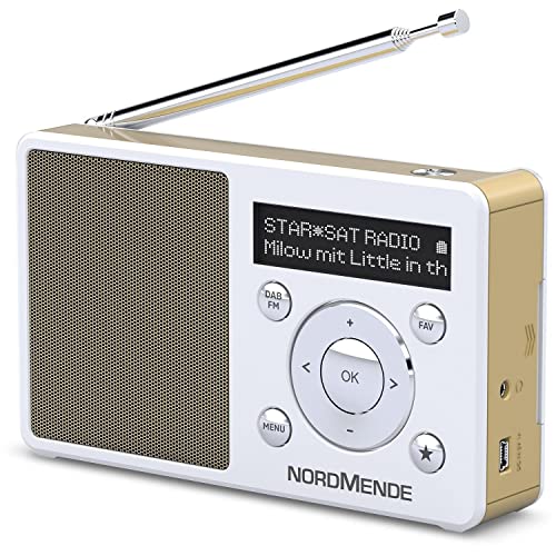 TechniSat Digitradio 1 S - tragbares Stereo DAB Radio mit Akku (DAB+, UKW, FM, Lautsprecher, Kopfhörer-Anschluss, Favoritenspeicher, OLED-Display, 2 W RMS) silber/schwarz