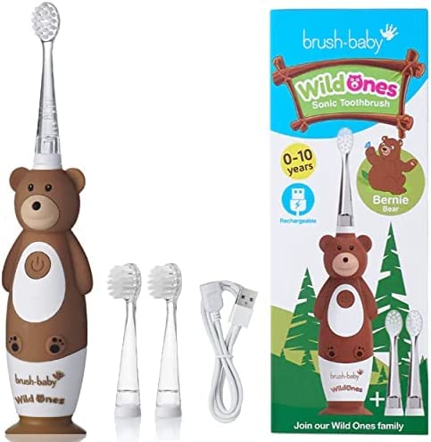 Brush-Baby WildOnes Kinder Elektrische Wiederaufladbare Zahnbürste Bär, 1 Griff, 3 Bürstenkopf, USB-Ladekabel, für 0-10 Jahre (Bär)
