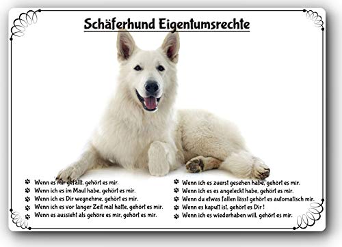 Merchandise for Fans Blechschild/Warnschild/Türschild - Aluminium - 30x40cm Eigentumsrechte Motiv: Weisser Schäferhund (06)