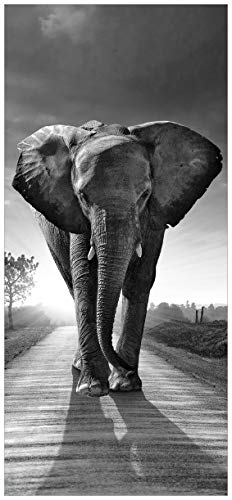 posterdepot Türtapete Türposter Elefant bei Sonnenaufgang in Afrika - Größe 93 x 205 cm, 1 Stück, schwarz/weiß, ktt0127a