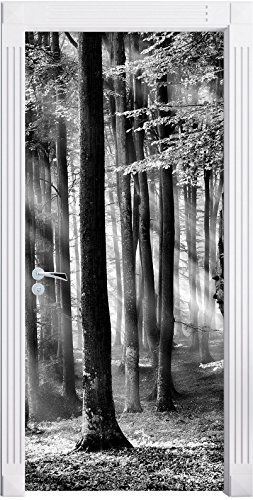 Stil.Zeit Möbel Monocrome, Bäume im Licht als Türtapete, Format: 200x90cm, Türbild, Türaufkleber, Tür Deko, Türsticker