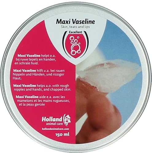 Excellent Zubehör für die Gesundheitspflege von Vaseline in der Verpackung