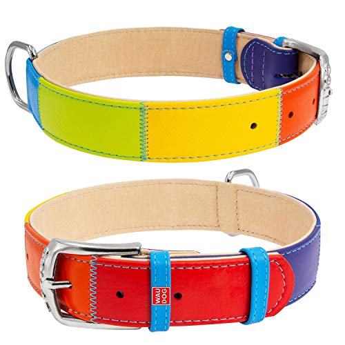 COLLAR Flaches Lederhalsband in Regenbogenfarbe für Hunde, 38-49cm, 25mm