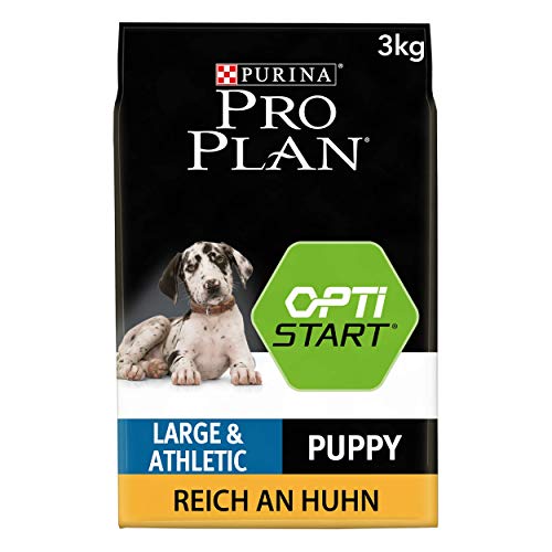 Purina PRO PLAN DOG Large Robust Puppy, Trockenfutter für Hunde-Welpen mit OPTISTART, reich an Huhn & Reis, Premium Hundefutter