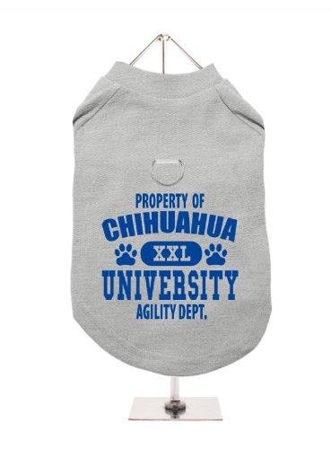 "Property Of Chihuahua University" UrbanPup Hunde/T-Shirt (grau/blau)