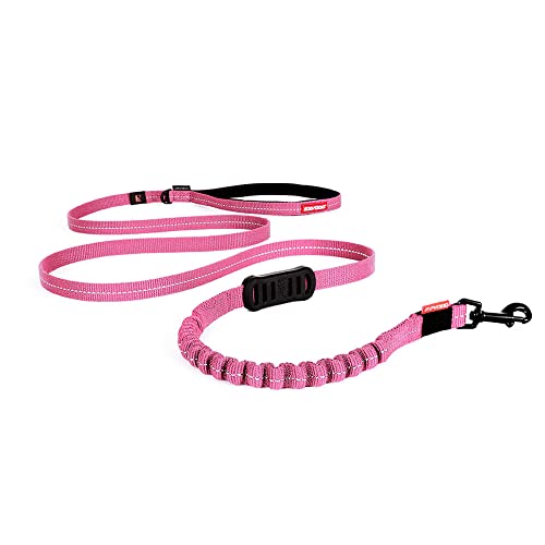 EzyDog Hundeleine für Kleine Hunde - Elastische Leine mit Bungee Ruckdämpfer - 'Zero Shock' Leine für Hunde - Hunde Leine Stabil, Reflektierend (180cm, Rosa)