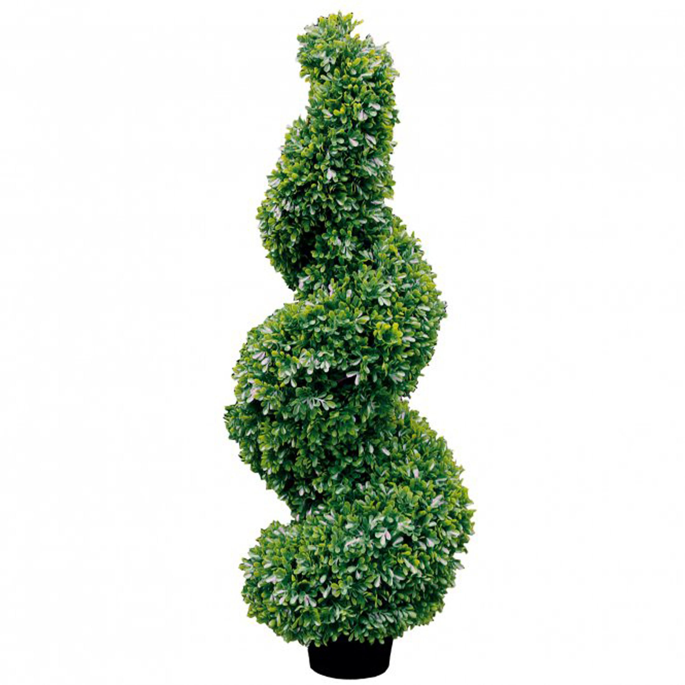 Fink BUCHSBAUM/Twist,grün/H.150cm,Spirale