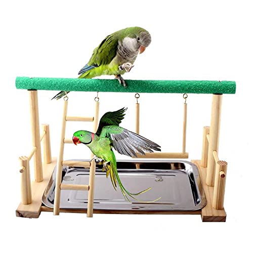 ArinkO Bunter Papageienleiter-Schaukelständer – ansprechender Sitzstangen-Spielplatz für Haustier-Nymphensittiche – langlebiges Laufstallspielzeug aus Holz für Vögel