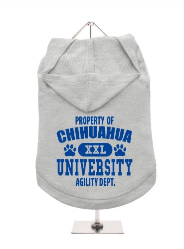 "Property Of Chihuahua University" UrbanPup Hunde-Hoodie Hoodie (grau/blau)