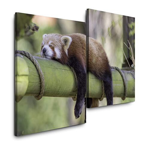 Sinus Art schlafender roter Panda 120x80cm 2 Kunstdrucke je 70x60cm Kunstdruck modern Wandbilder XXL Wanddekoration Design Wand Bild