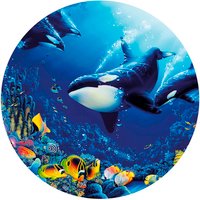 K&L Wall Art Vliestapete »Runde Vliestapete«, Orcas Ozean Orkas Kinderzimmer, mehrfarbig, matt - bunt
