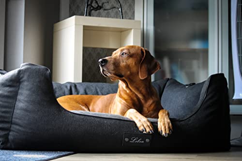 Lebon - Hundebett Carl Plus - Orthopädisch- mit Liegedecke zum befestigen - Deluxe - Made IN EU