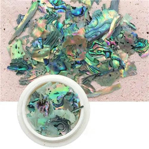 Unregelmäßige Nägel, Abalone-Muschelscheibe, 3D-Textur, natürlicher Muschelstein, Strass-Nägel, Kunst-Charm-Dekoration, Zubehör-TCST2028, 50 g