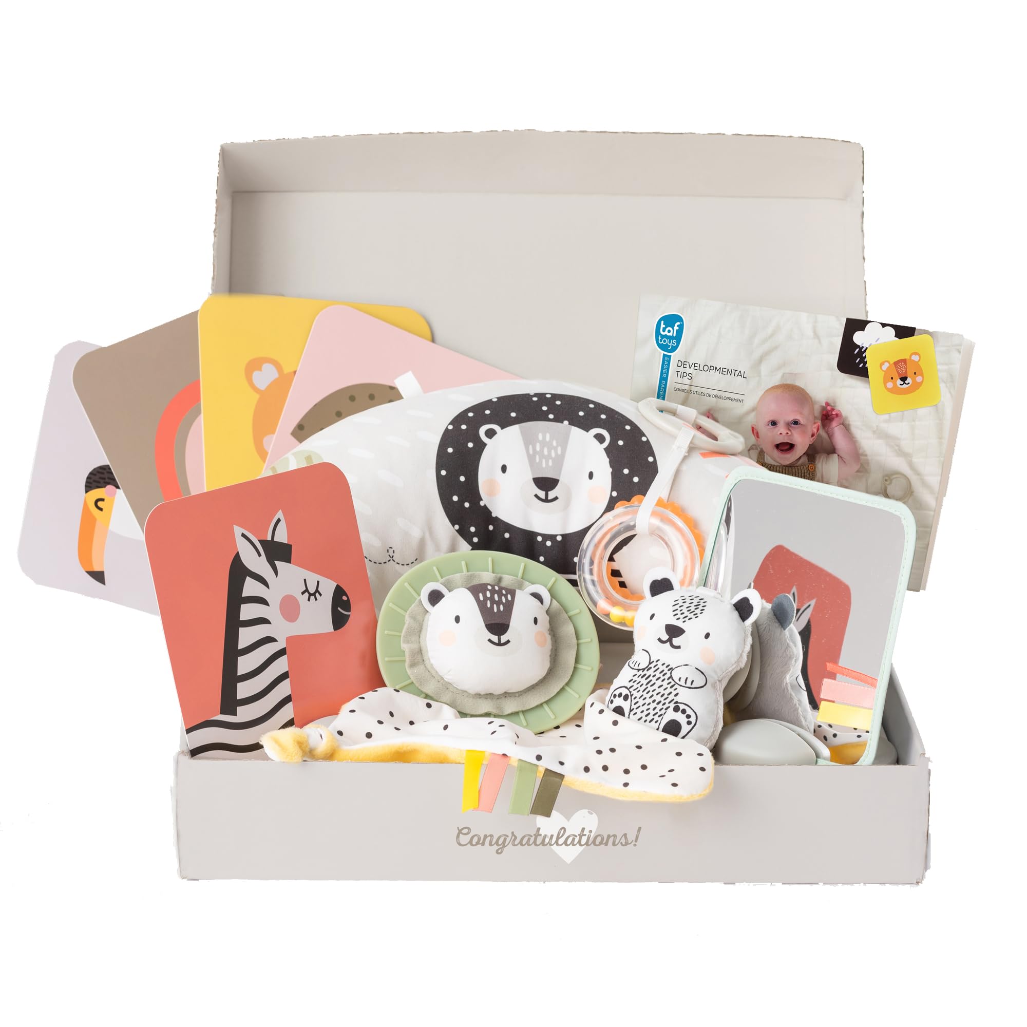TAF Toys 12915 - Geschenkbox für Neugeborene