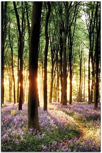 Wallario Garten-Poster Outdoor-Poster - Blaue Hasenglöckchen im Wald mit Sonnenstrahlen in Premiumqualität, Größe: 61 x 91,5 cm, für den Außeneinsatz geeignet