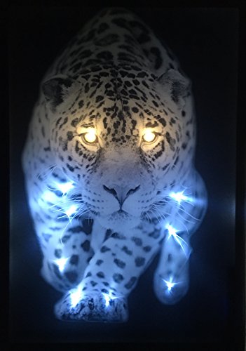 Samarkand - Lights LED-Bild mit Beleuchtung LED- Bilder Leinwandbild 65 x 45 cm Leuchtbild TIGER LEOPARD TIERE Wandbild