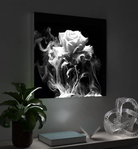 MyMaxxi - Pixlip Poster Rose und Rauch sw Wandbild Design Wand Dekoration, Foto schwarz weiß Leuchtrahmen - Rosenblüte, 60x60 cm, Rahmen: nur Druck
