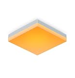 Nanoleaf Skylight Erweiterungs-Kit, 1 zusätzliche LED Deckenleuchte - Smarte Modulare WLAN LED RGBCW Deckenlampe, 16 Mio. Farben, Musik & Bildschirm Sync, Funktioniert mit Apple Home Alexa Google Home