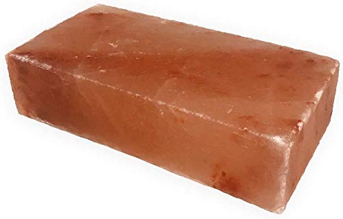 SudoreWell® Salzziegel 20x10x5 cm aus der Salt Range Pakistan (30 Stück)
