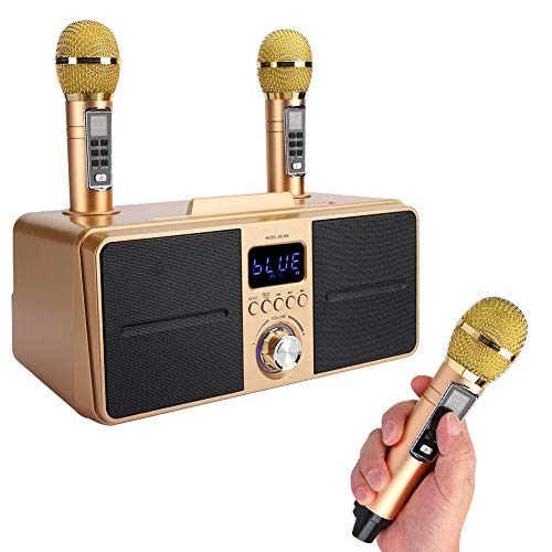 Lautsprecher Kit mit Zwei Mikrofonen, drahtlosem Heim Karaoke Gerät, geräuscharmem multifunktionalem Bluetooth Lautsprecher, Live Audiokarte Bluetooth Karaoke Lautsprecher, 1500 mAh KTV Gerät(Gold)