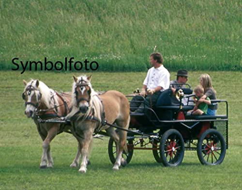 AMKA Zweispänner Geschirr, Mini Shetty