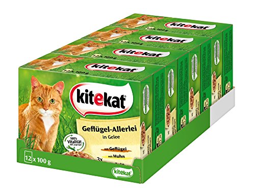 Kitekat Katzenfutter Nassfutter Geflügel-Allerlei in Gelee, 48 Portionsbeutel (4 x 12 x 100g)