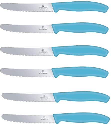 6 Stück Victorinox Tafelmesser Brotzeitmesser Swiss Classic Limited Edition (Karibikblau, 6er Pack)