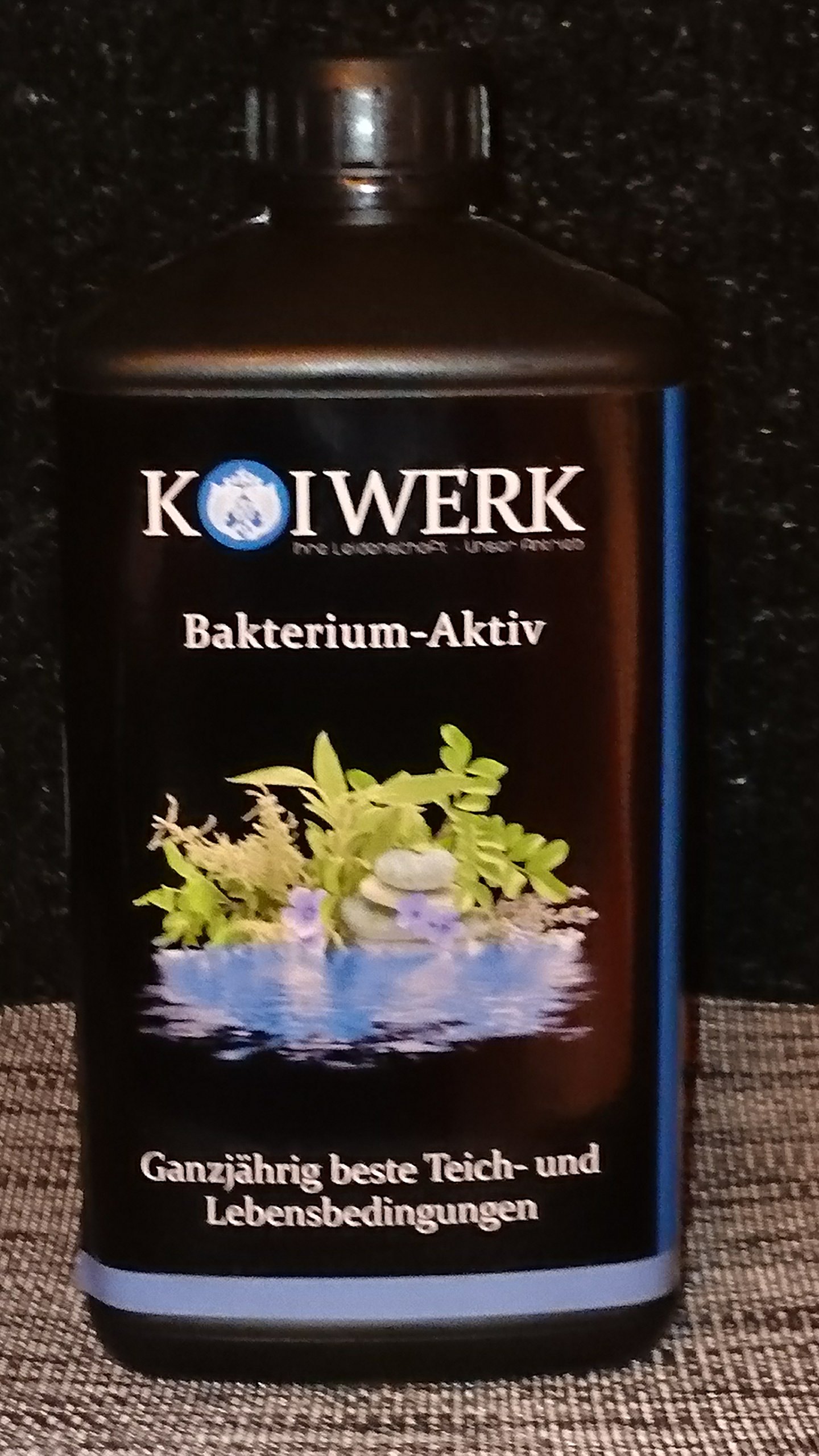 KOIWERK Bakterium Aktiv - Koi-Pflegemittel (5000 ml)