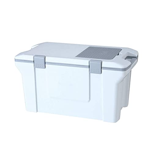 FBITE Tragbarer 50-l-Mini-Kühlschrank, Kühler und Wärmer – ideal für Zuhause, Schlafzimmer, Büro, Wohnmobil, Wohnwagen – mit Griff und Oberlicht