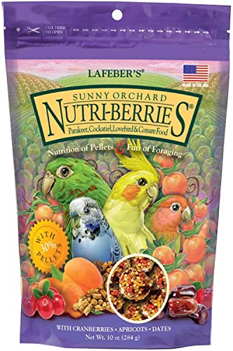 LAFEBER'S Sunny Orchard Nutri-Berries Vogelfutter, hergestellt mit Nicht-gentechnischen und menschlichen Inhaltsstoffen, für Nymphensittiche, Sittiche, Wellensittiche, 284 ml