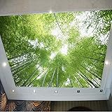 XiuTaiLtd 3D Grüner Bambus Blauer Himmel Landschaft Decke Fototapete Wandbild Für Wohnzimmer Ktv Bar Wand Dekor Gemälde Landschaft-450x315 CM