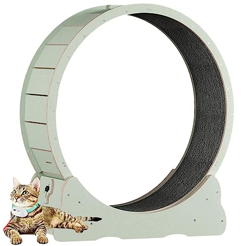 Innenkatze Laufrad, Sicherheit Anti-Pinch-Katzenspielzeugübung, alle Pet Cat Treadmill für alle Haustiere Fitness-Verlust-Gewicht, Katzen-Laufband mit No-Gap-Design,Green-XL