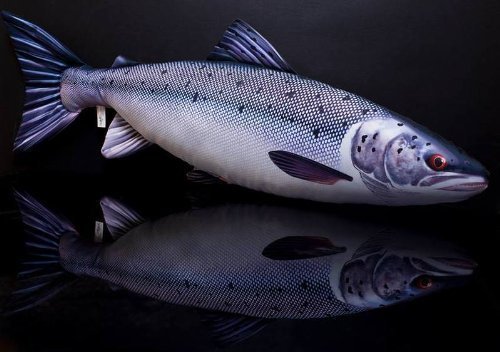 Gaby Neuheit Fisch Kissen/Kissen 6 Species Karpfen, braun Forelle, Regenbogenforelle Sitzstangen, Hecht und Atlantischer Lachs Fischen Geschenk Weihnachten Fischen vorliegenden Spielzeug - Salmon
