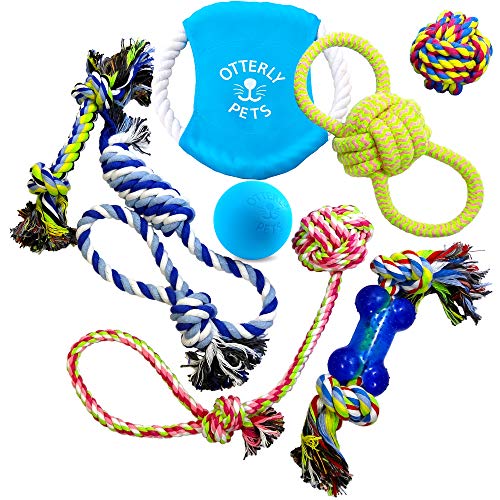 Otterly Pets Hundespielzeug (8 Stück) – Verschiedene Robuste Seile und EIN einzelner nahezu unzerstörbarer Naturkautschukball für Kleine bis mittelgroße Hunde